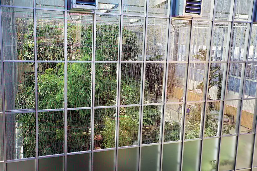 Vitro_TheNationalAviary_Wetlands_IMG_1457