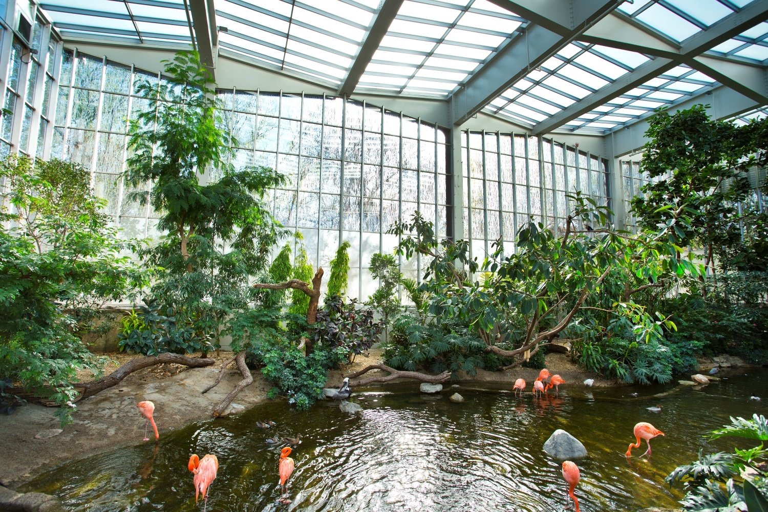 VIT_Aviary_Wetlands 1